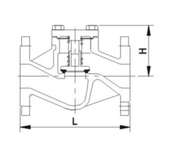 DIN Lift Check Valve