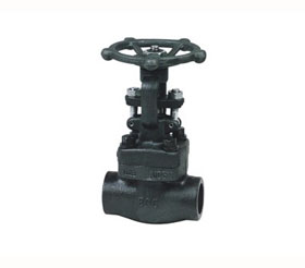 Forged Steel Gate Valve 