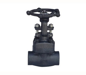 Forged Steel Globe Valve