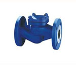 DIN Lift Check Valve