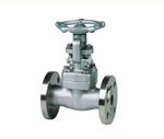 Forged Steel Flanged Gate Valve