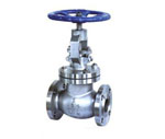 API Globe Valve