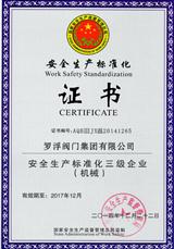 Safety production standardization certificate