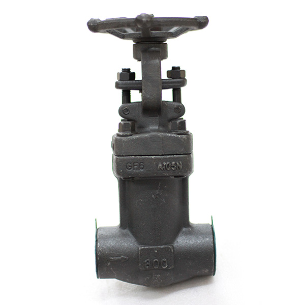 Forged Steel Gate Valve 