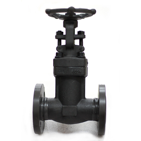 Forged Steel Flanged Globe Valve