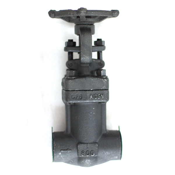 Forged Steel Globe Valve